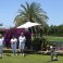 Bowlers on Green